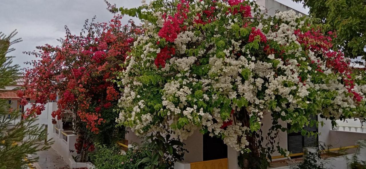 Le Boucanier Tavira Exteriér fotografie