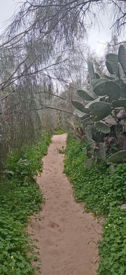 Le Boucanier Tavira Exteriér fotografie
