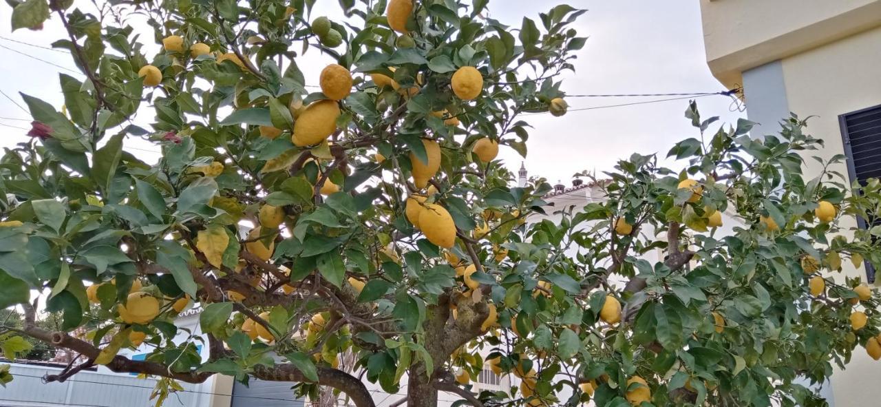 Le Boucanier Tavira Exteriér fotografie